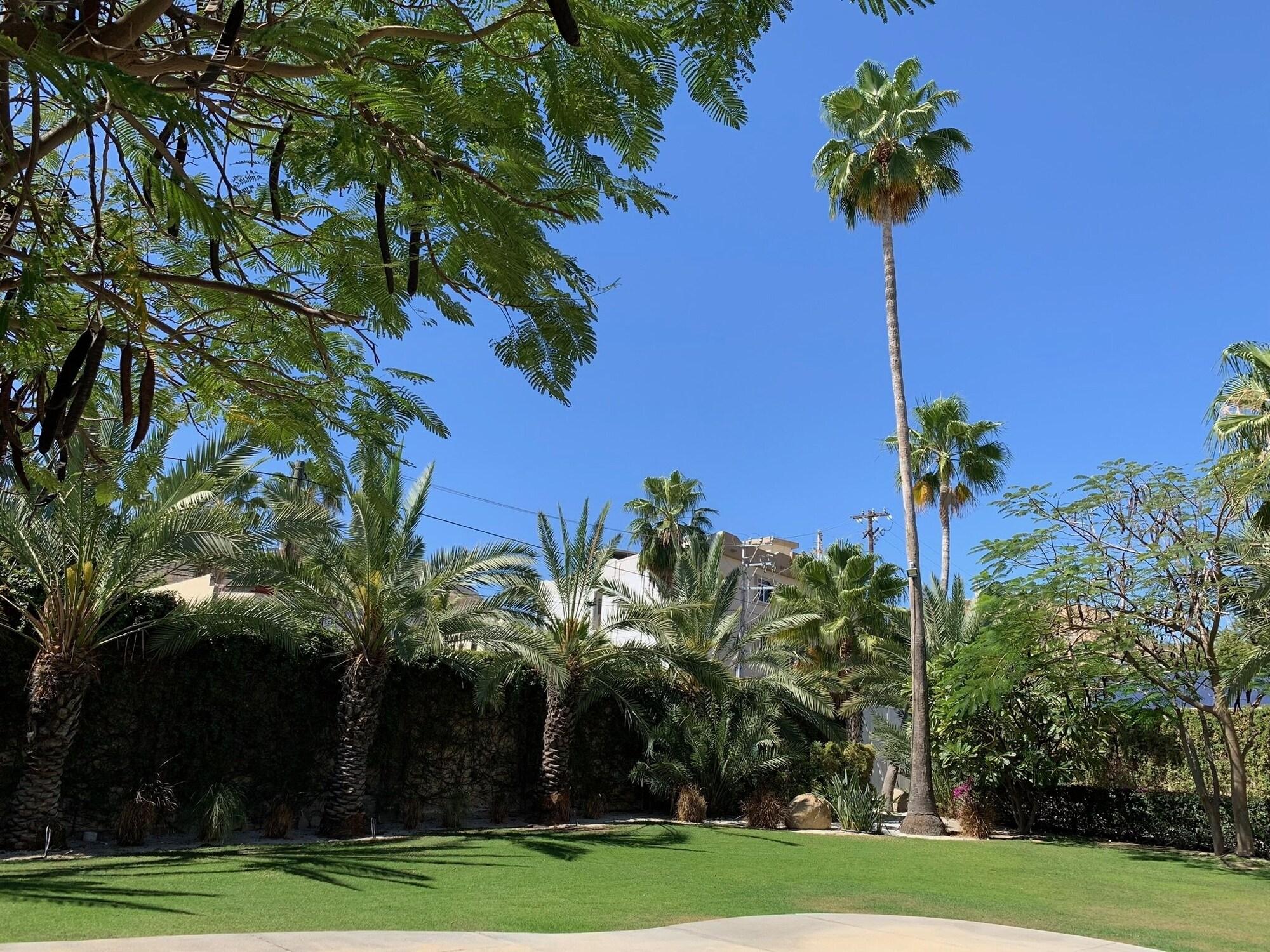 Los Milagros Hotel Cabo San Lucas Exteriér fotografie