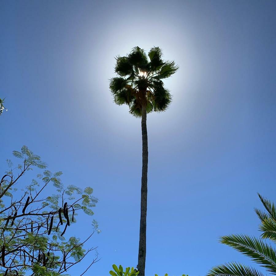 Los Milagros Hotel Cabo San Lucas Exteriér fotografie